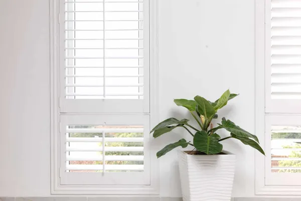 Plantation Shutters Mandurah