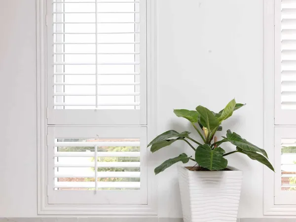 Plantation Shutters Mandurah