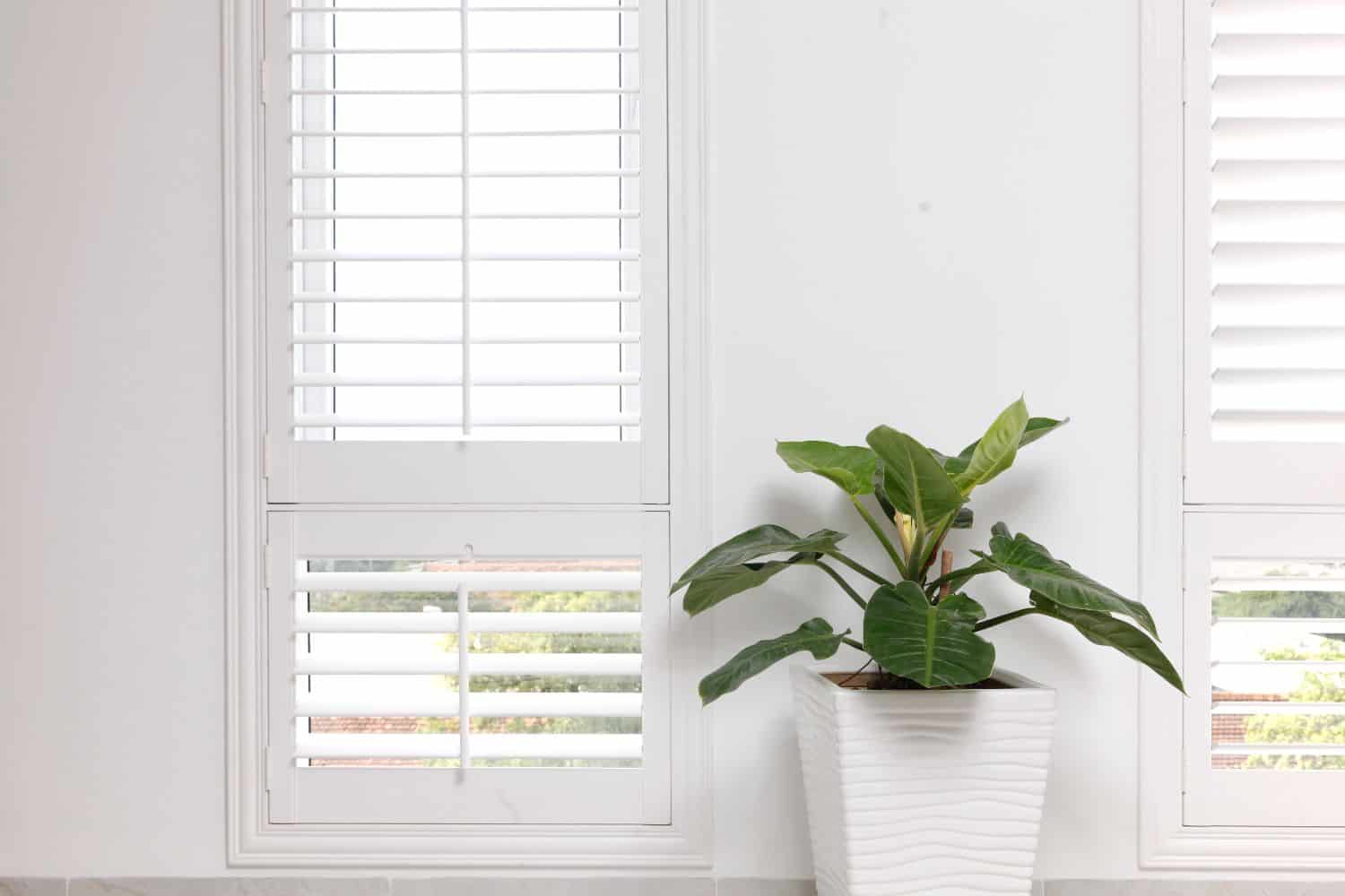 Plantation Shutters Mandurah